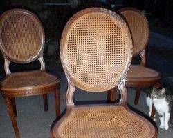 Stuhl, Stühle, Luis Phillip, Peddigrohrstuhl, Sitze, geflochtene 