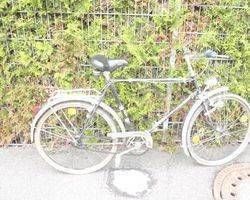 Herrenfahrrad, Fahrrad, Rad, Herrenrad, Fahrräder, Velo