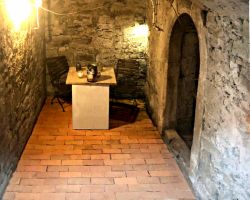  Antik Boden Ziegel Platten Fliesen Weinkeller alte Mauer Back Steine Terracotta französischer Style