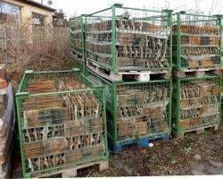  Gartenbau Backofen Sommerküche Ziegel Klinker Rückbau steine Dachziegel Altholz Scheunen balken